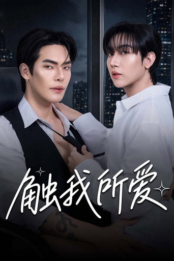 触我所爱海报
