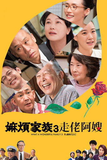 家族之苦3:蔷薇之妻海报