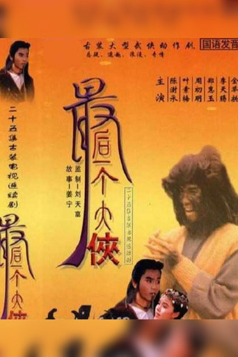 最后一个大侠海报