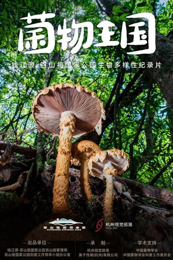 菌物王国海报
