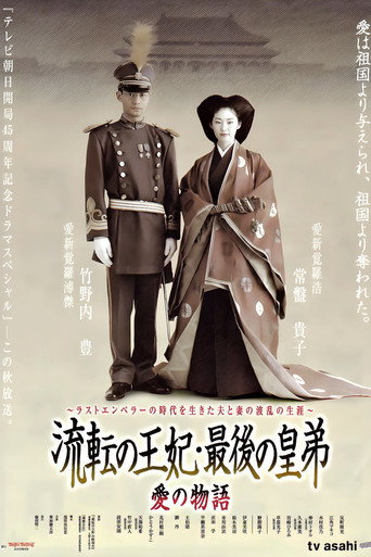 流浪王妃·最后的皇弟海报