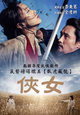 侠女:剑的记忆海报