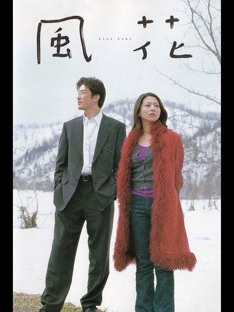 风花海报