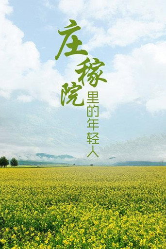 庄稼院里的年轻人海报