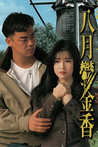 八月郁金香海报