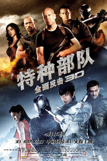 特种部队Ⅱ:全面反击海报