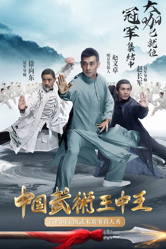 中国武术王中王海报