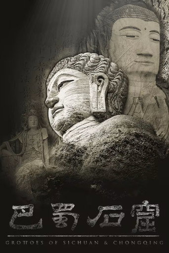 巴蜀石窟海报