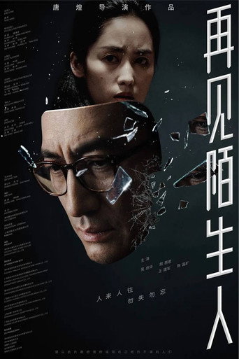 再见,陌生人海报