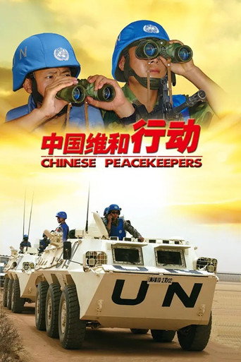 中国维和行动海报