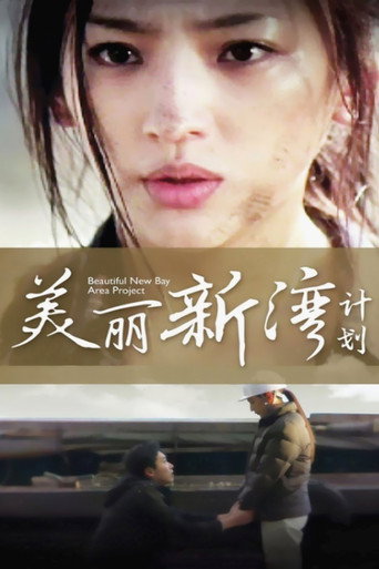 美丽新湾计划海报