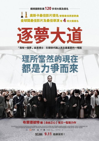 塞尔玛海报