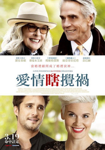爱情,婚礼和其它灾难海报