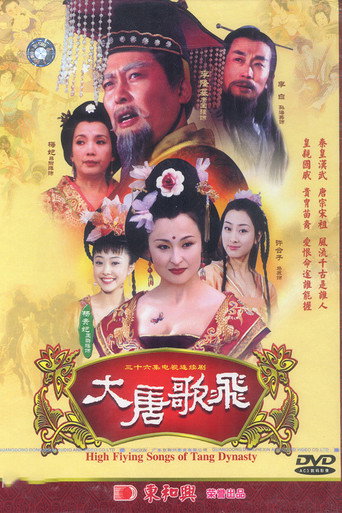 大唐歌飞海报