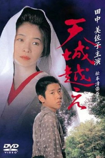 越过天城海报