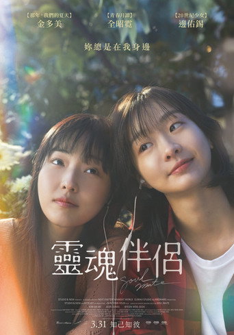 再见,我的灵魂伴侣海报