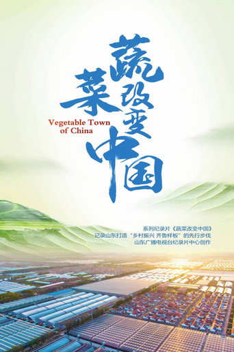 蔬菜改变中国海报