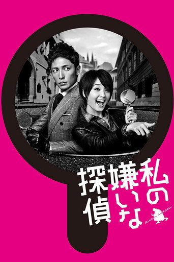 我讨厌的侦探海报