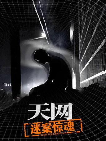 天网:罪案纪实 天网:迷案惊魂海报
