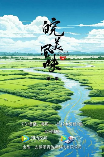 皖美风味海报