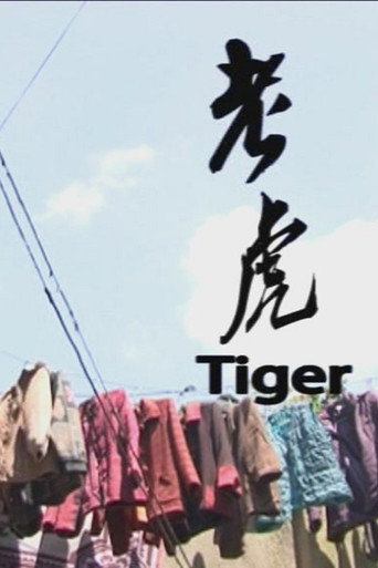 老虎海报