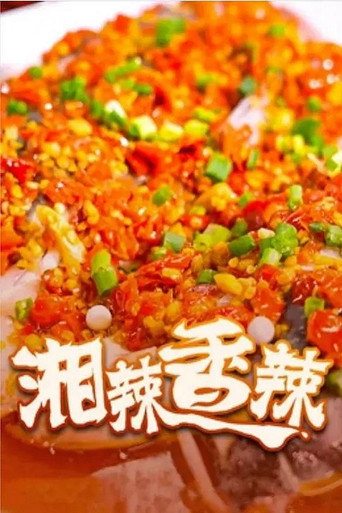 湘辣香辣海报