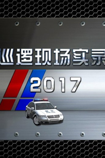 巡逻现场实录 巡逻现场实录2017海报