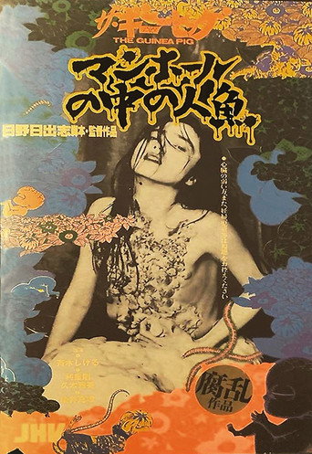 豚鼠5:下水道的美人鱼海报