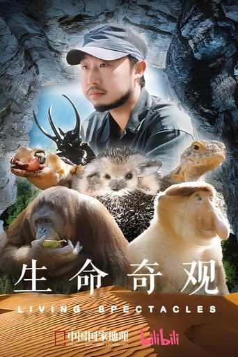 生命奇观海报