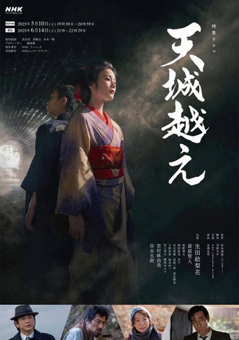 越过天城海报