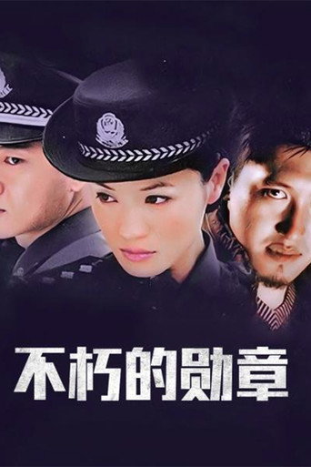 不朽的勋章海报