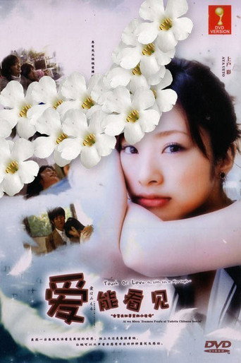 爱能看见:全盲夫妇孕育的小小生命海报