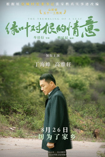 绿叶对根的情意海报