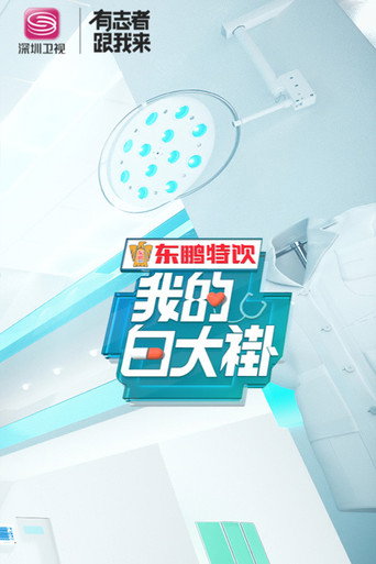 我的白大褂 第 1 季海报