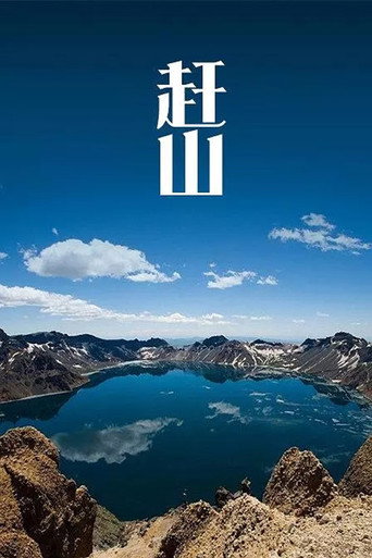 赶山海报