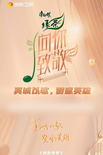 向你致敬海报