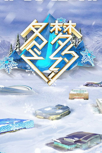 冬梦之约海报