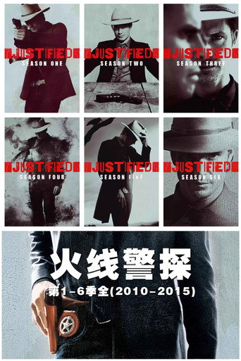 火线警探海报
