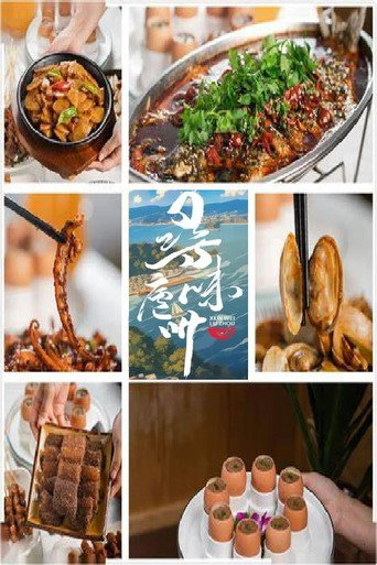 寻味庐州海报