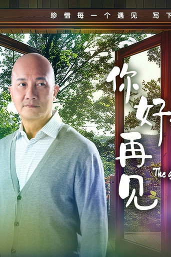 你好,再见海报