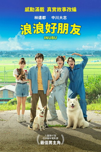 犬部!海报