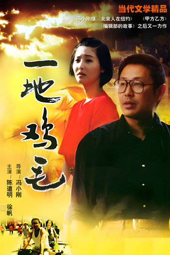 一地鸡毛海报