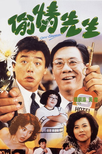 偷情先生海报