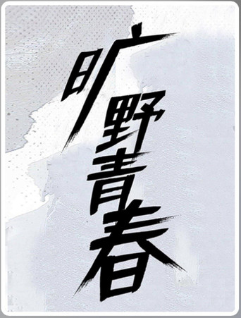 旷野青春海报