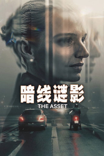暗线谜影海报