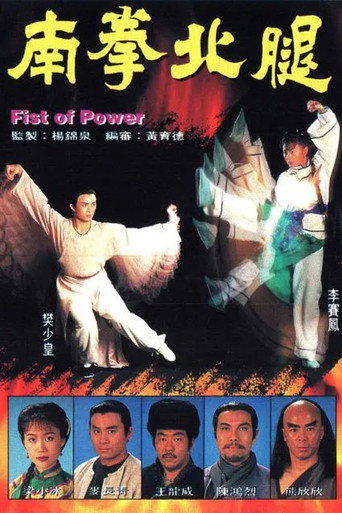 南拳北腿海报