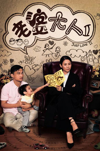 老婆大人2海报