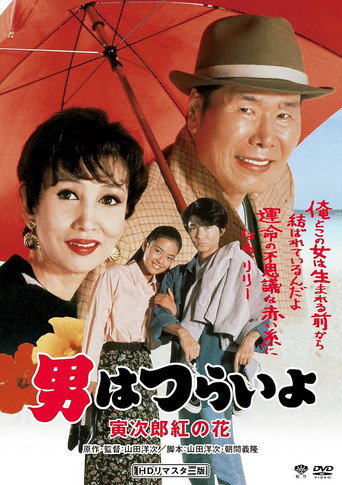 寅次郎的故事48:寅次郎红之花海报