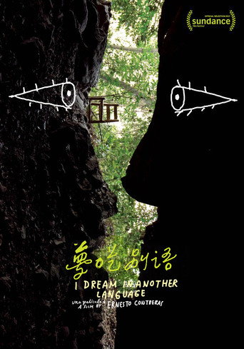 梦呓雨林海报