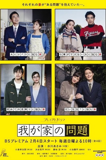 我家的问题海报